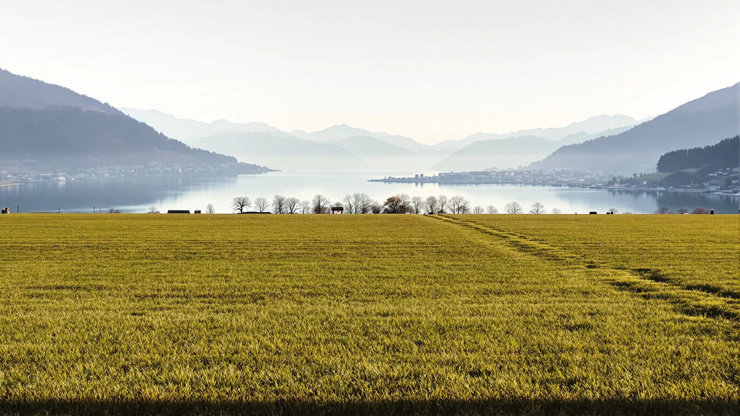 A grassy bank above a calm Swiss lake, wooded shores on both sides and a small town along the far bank in haze