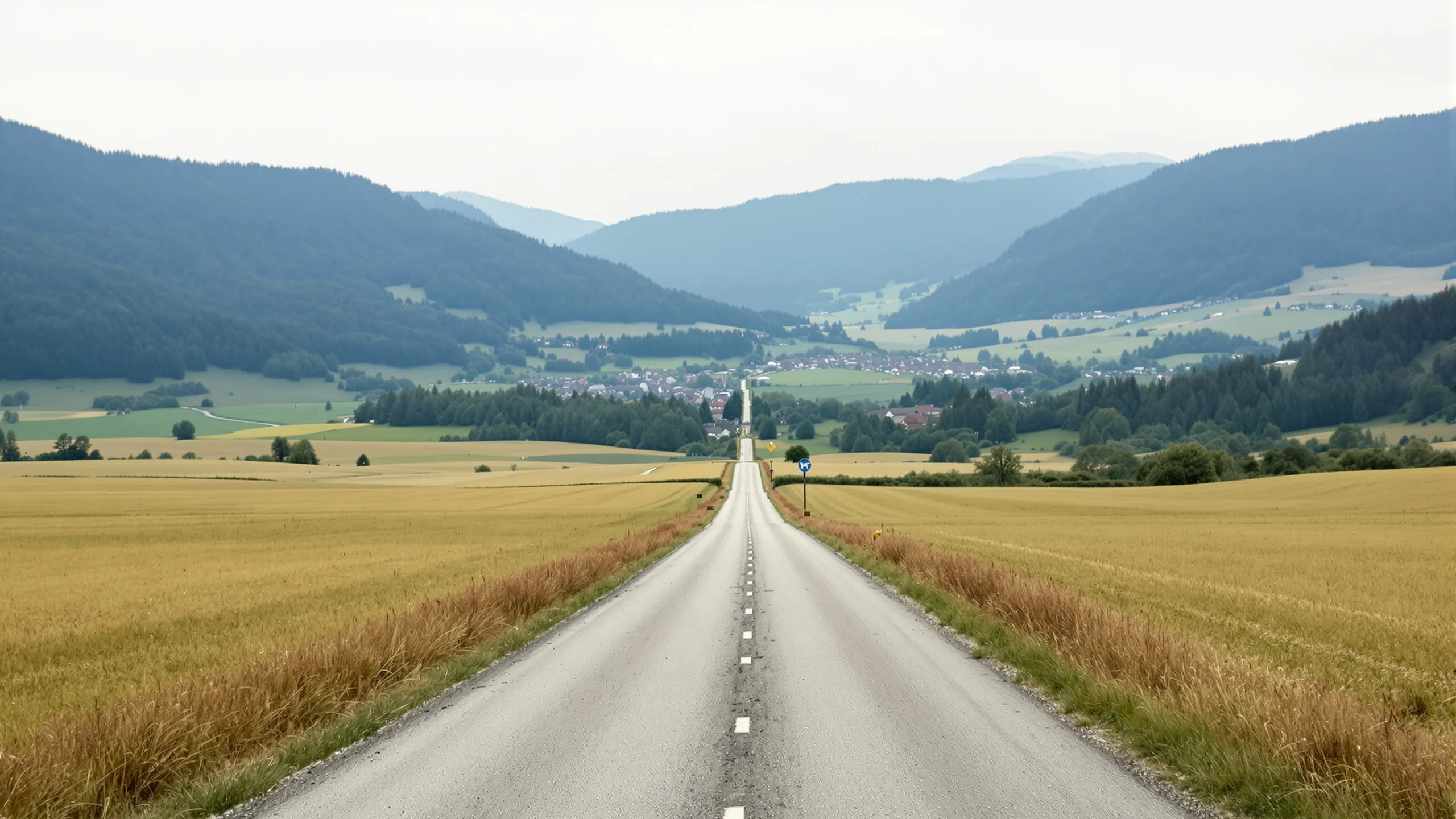 Weiter flacher Talboden mit gemähten Wiesen und einer einzelnen Landstrasse